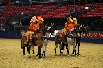 Quadrille - 00111